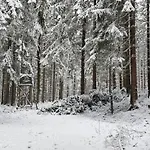 Bergwiesnblick Appartement