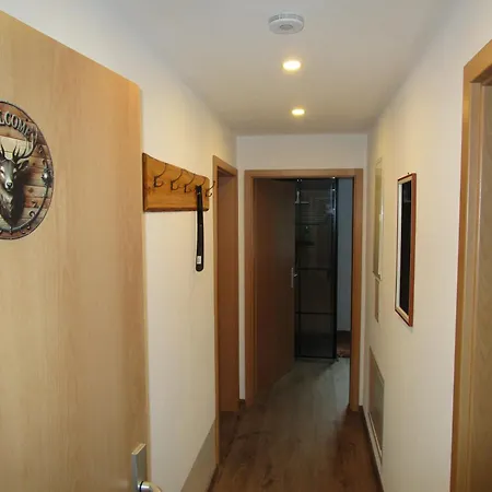 Bergwiesnblick 公寓 *