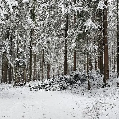 Bergwiesnblick 公寓 *