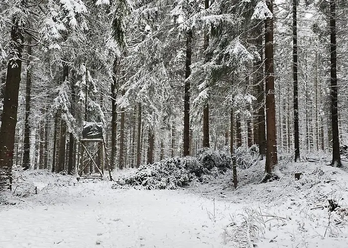 Bergwiesnblick Apartamento *
